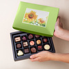 Cutie cu praline din ciocolata Postcard Midi Green.