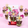 Spring Little Daisy