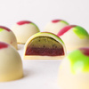 Matcha Moments 16