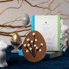  HAPPY EASTER EGG WITH WILLOW TWIGS